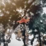 Ignite the Flame: 10 Ways to Add More Spice to Your Relationship