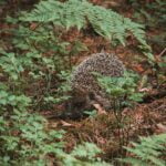 Why We Offer Free Shipping