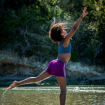 Succulent Plants: A Symbol of Resilience and a Source of Health and Calm