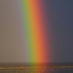 Exploring the Spectrum of Personality: What Type Are You?