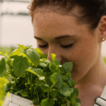 Angel Number 222: The Meaning of Seeing 222