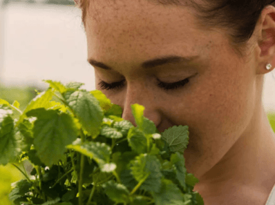 woman smell fresh lemon balm