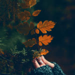 From Garden to Wellness: The Endless Benefits of Hibiscus