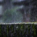 What’s Underneath? Health Benefits and Risks of Ditching the Bra