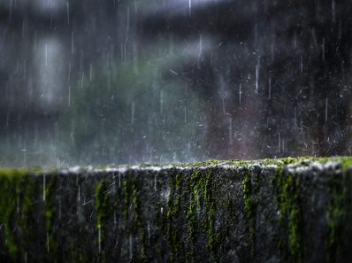 earth fire air water