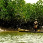 Why We Choose to Be Eco-Friendly